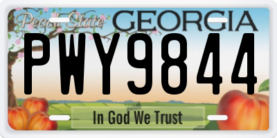GA license plate PWY9844