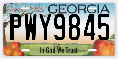 GA license plate PWY9845