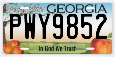 GA license plate PWY9852