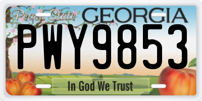 GA license plate PWY9853