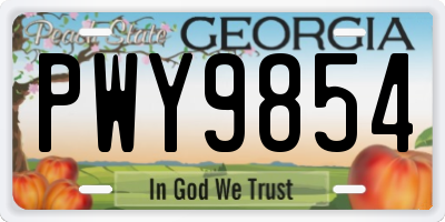 GA license plate PWY9854