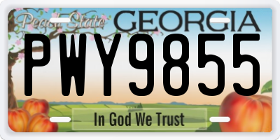 GA license plate PWY9855