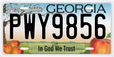 GA license plate PWY9856