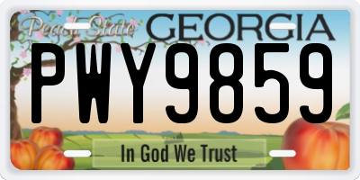 GA license plate PWY9859