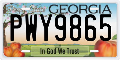 GA license plate PWY9865