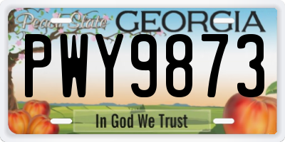 GA license plate PWY9873