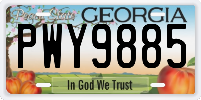 GA license plate PWY9885