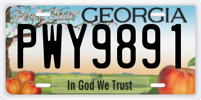 GA license plate PWY9891