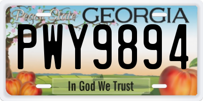 GA license plate PWY9894