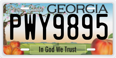 GA license plate PWY9895