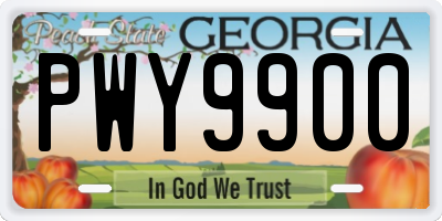 GA license plate PWY9900