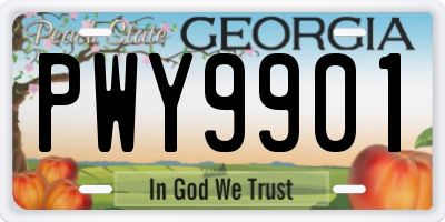 GA license plate PWY9901