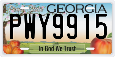GA license plate PWY9915