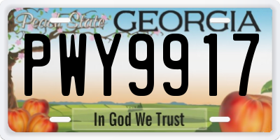 GA license plate PWY9917