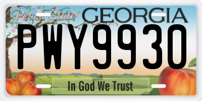 GA license plate PWY9930