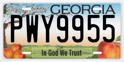 GA license plate PWY9955