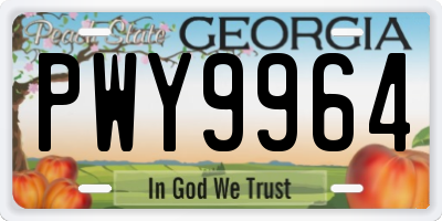 GA license plate PWY9964