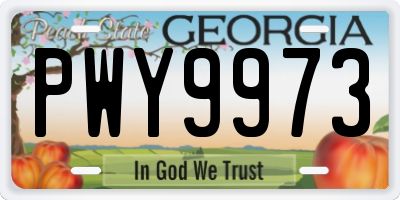 GA license plate PWY9973
