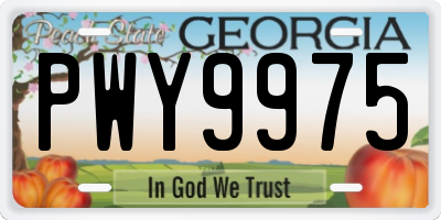 GA license plate PWY9975