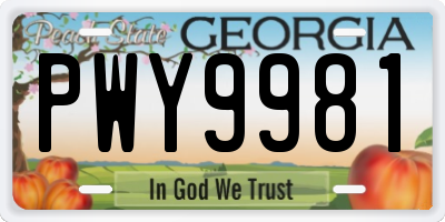 GA license plate PWY9981