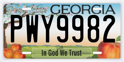 GA license plate PWY9982
