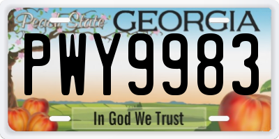GA license plate PWY9983