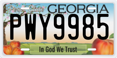 GA license plate PWY9985