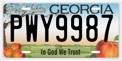 GA license plate PWY9987