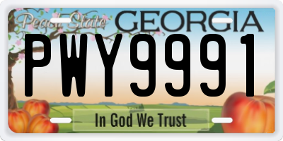 GA license plate PWY9991