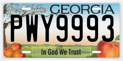 GA license plate PWY9993
