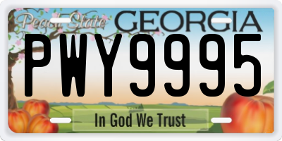 GA license plate PWY9995