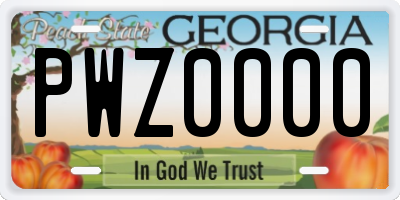 GA license plate PWZ0000