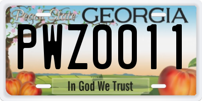 GA license plate PWZ0011