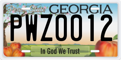 GA license plate PWZ0012