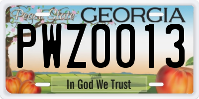 GA license plate PWZ0013