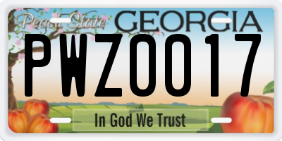 GA license plate PWZ0017