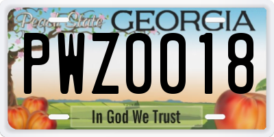 GA license plate PWZ0018
