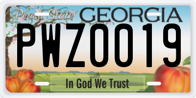 GA license plate PWZ0019