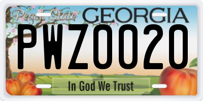 GA license plate PWZ0020