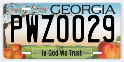 GA license plate PWZ0029