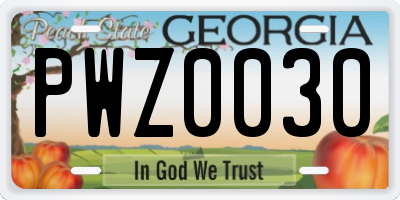 GA license plate PWZ0030
