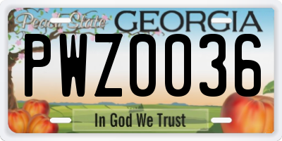 GA license plate PWZ0036