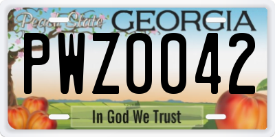 GA license plate PWZ0042