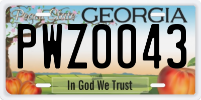 GA license plate PWZ0043