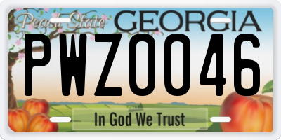 GA license plate PWZ0046