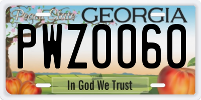 GA license plate PWZ0060