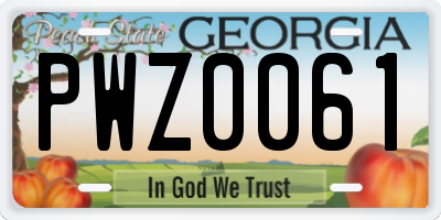 GA license plate PWZ0061