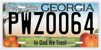 GA license plate PWZ0064
