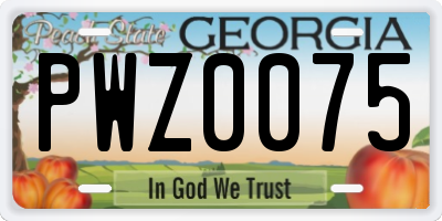 GA license plate PWZ0075