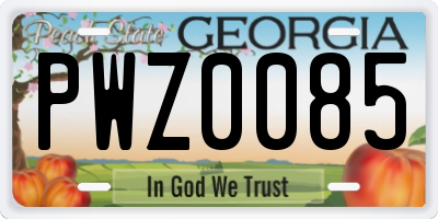 GA license plate PWZ0085